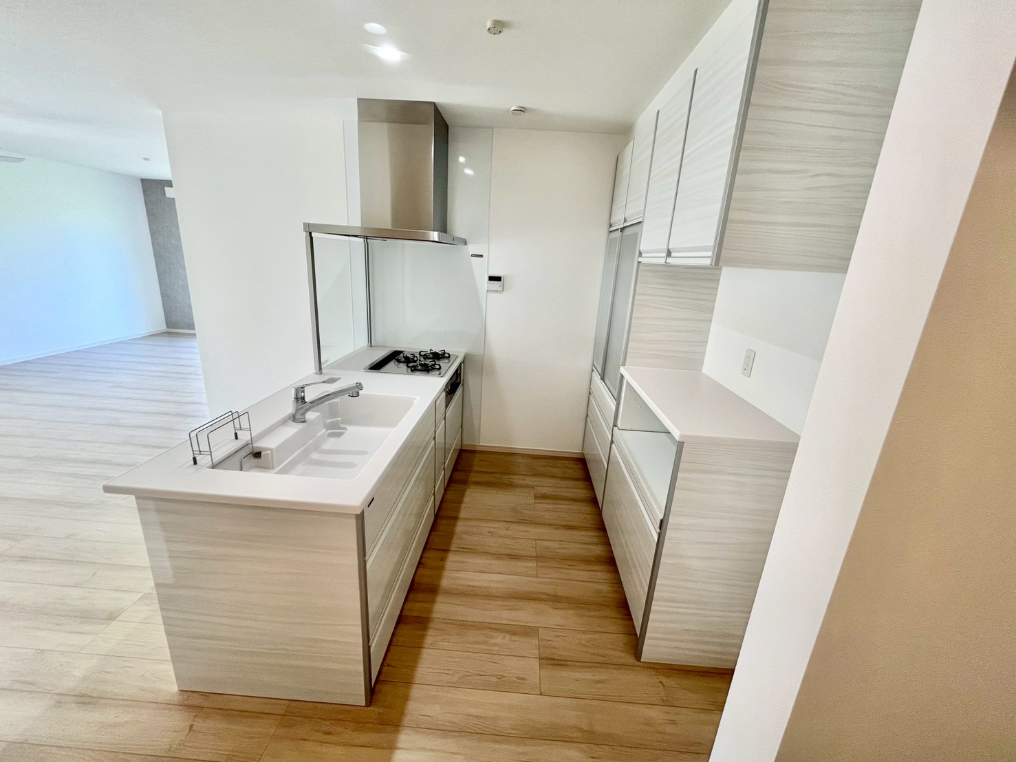 木更津市牛込 新築一戸建て キッチン 家電